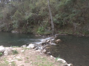 the trout-filled river