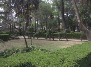 a park in Mexico City